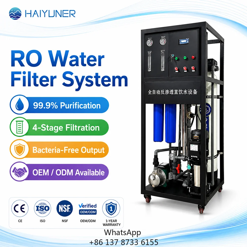 Best Water Treatment Machinery 500LPH Reverse Osmosis System With Pressure Vessel And Pump 99.5% Desalination For Philippines