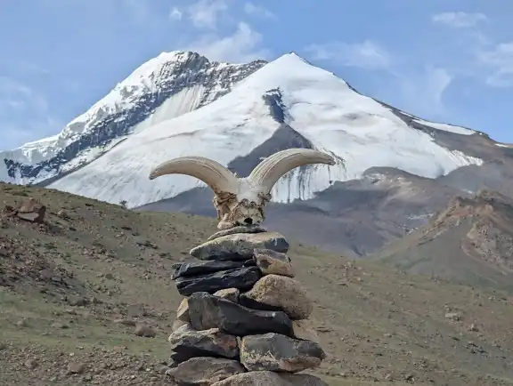 

Flywoo GOKU H743 PRO 55A 32Bit 128K 30*30 Stack H743 PRO Flight Controller with G55M AM32 4in1 ESC Plug&Play O4/O4 Pro for Drone