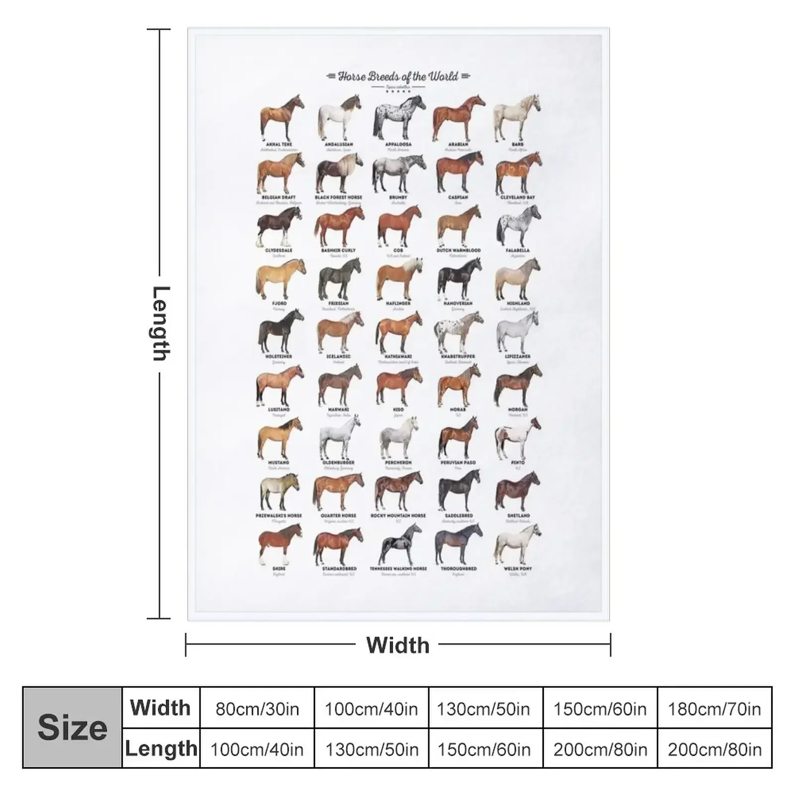 Horse Breeds Of The World Throw Blanket wednesday Luxury Personalized Gift Plaid Blankets