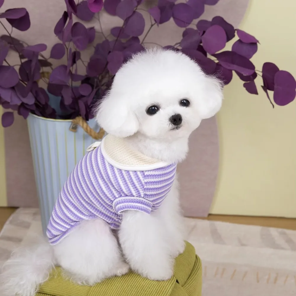 Zwei Beine Weste Revers Welpen gestreift Pullover Polyester dünne Hundekleidung atmungsaktiv lässig Hund Kurzarm Sommer