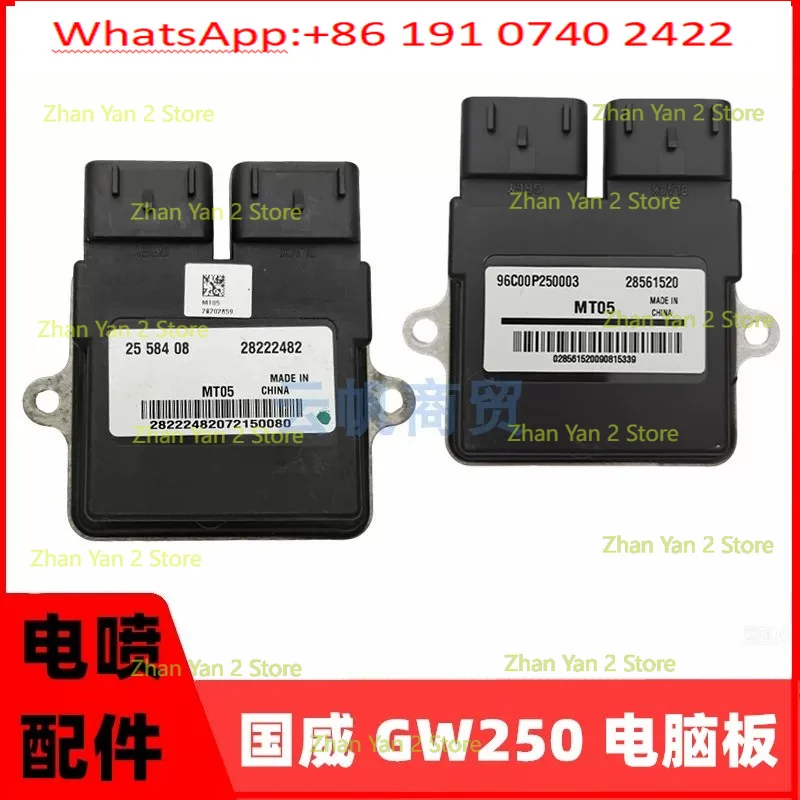 1PCS is suitable for EFI motorcycle accessories GW250-B-C GW250-D-E-2C computer board ECU