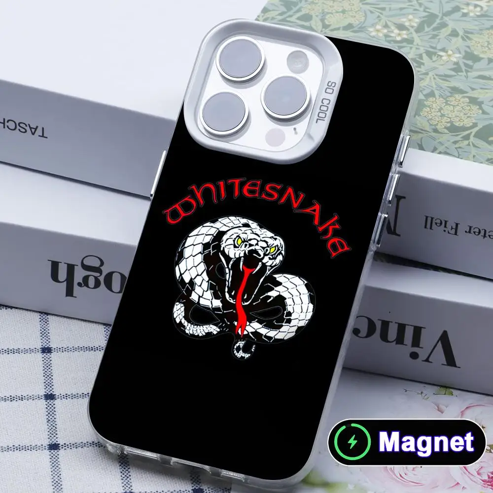 

Fashion White Snake Phone Case for iPhone 17 16 15 14 13 12 11 X XR XS Air Pro Max Plus Colorful Silver Magnet Cover