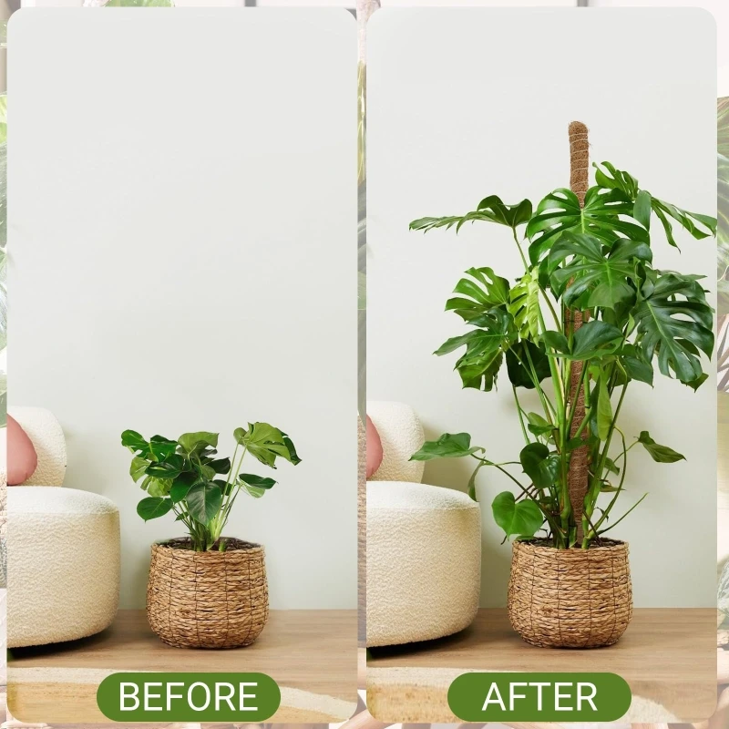 

80cm Bendable Coco Coir Moss Pole Plant Cage Climbing Pole Plant Support Extension for Monstera Plant To Grow Upward Garden