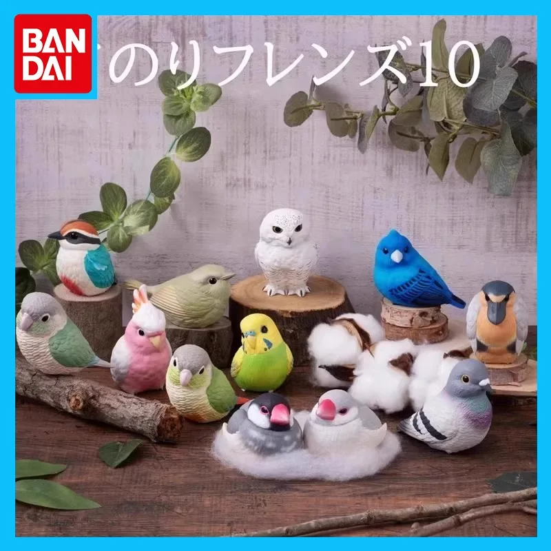 

Bandai Original Handheld Little Cute Friend Anime Figure Budgerigar Sakura Pigeon Action Figure Toys for Boys Girls Kids Gift