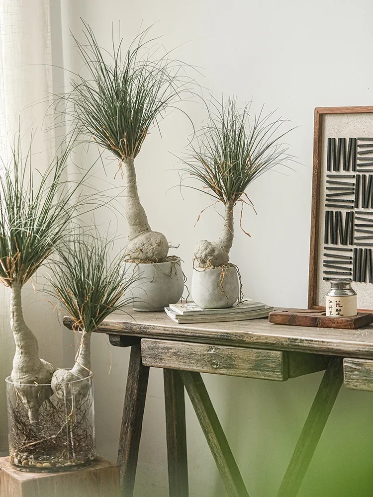 

Artificial Tree Pot, False Green Plant, Landscape Plants, Indoor Bonsai, Desktop Decoration