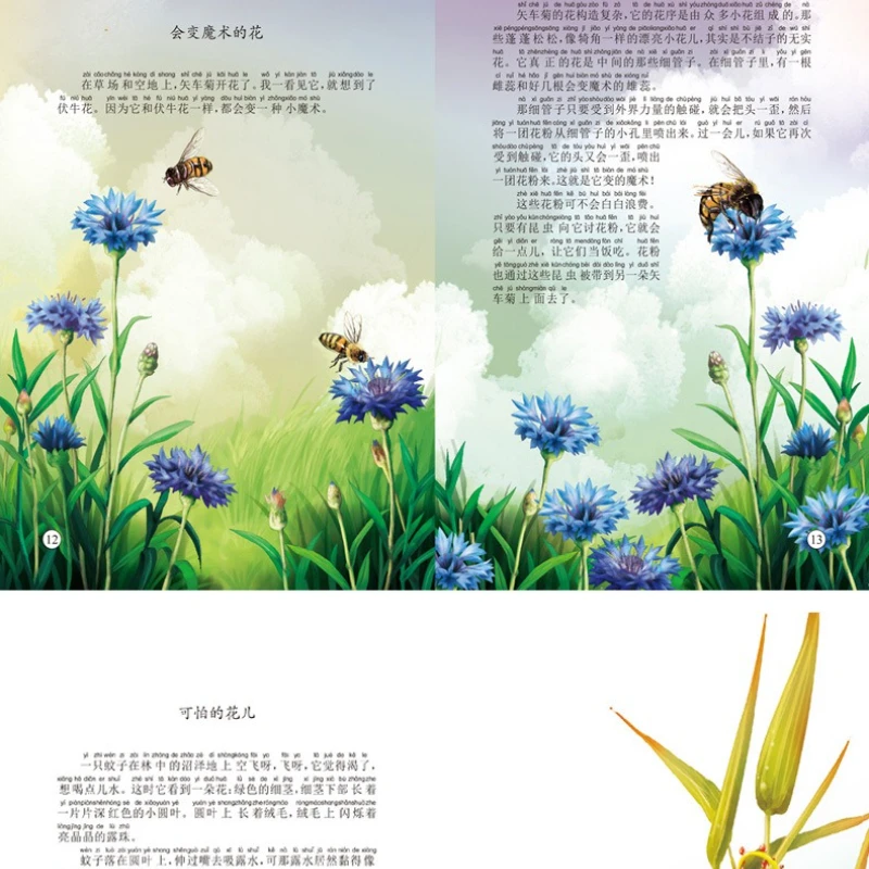 Forest Newspaper Color Picture Book Storybook for 3-6 Year Old Children's Science Popularization Picture Book