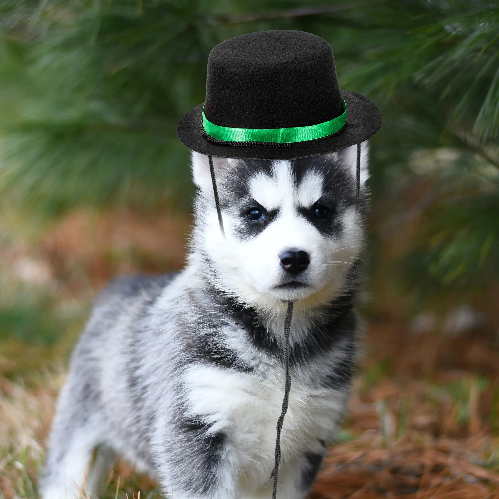 

2 Pcs Pet Party Decoration Hat Dog for Cap Hats Caps Funny Outdoor Headgear Cat