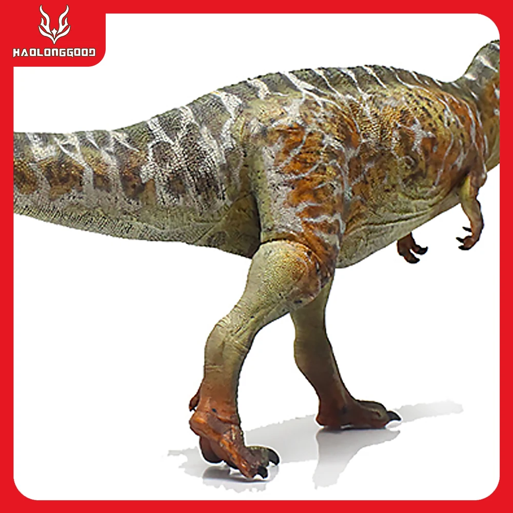 New Simulation Dinosaur Model Haolonggood Carcharo 1/35 Scientific Restoration Model Jurassic Dinosaur Toys New Collection Gift