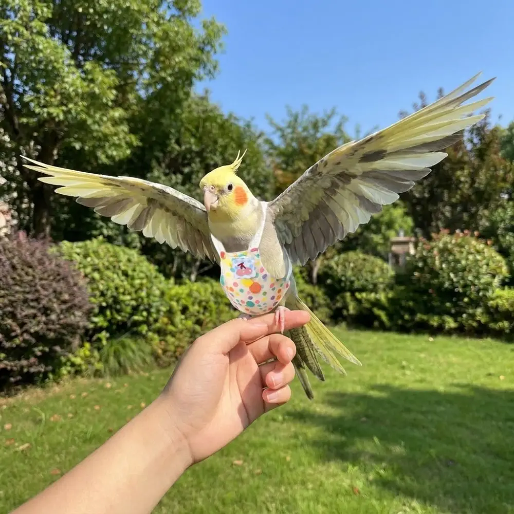 Breathable Parrot Flight Suit Adjustable Polka Dot Print Parrot Diaper Anti-Bite Colorful Bird Flying Harness Daily Wear
