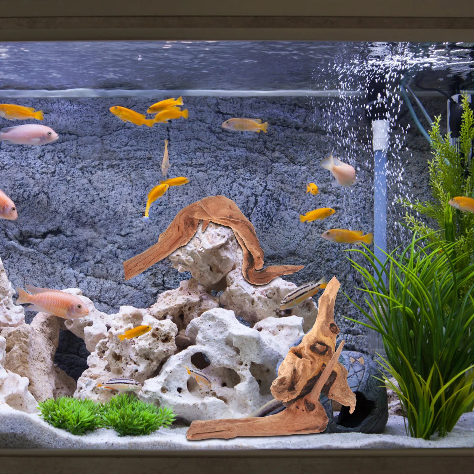 Aquarium Fish Unique - 수족관용 드리프트우드 4개 15-20cm 자연산 수조