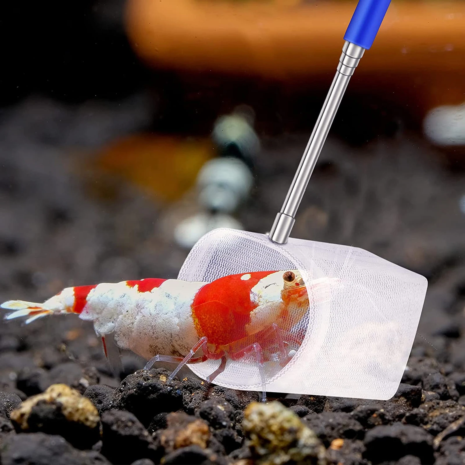 

Adjustable Extendable Fish Shrimp Net Handle Durable Mesh For Aquarium Pond Tank Shrimps Collecting Tool Gift Compact Fishing