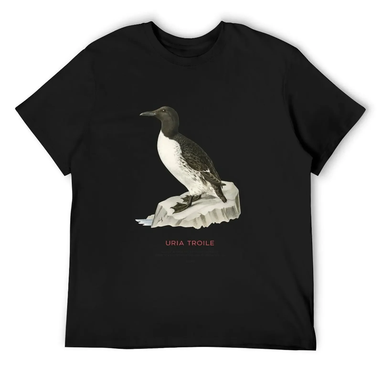 Common murre or Uria troile T-Shirt plain vintage funny t shirts for men