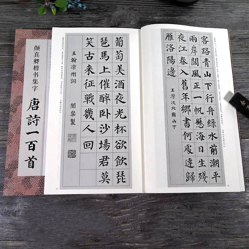 Yan Zhenqing Regular Script Calligraphy Copybook 2 Books Tang Song Poems Duo Bao Pagoda Stele Yan Qin Li Stele Practice