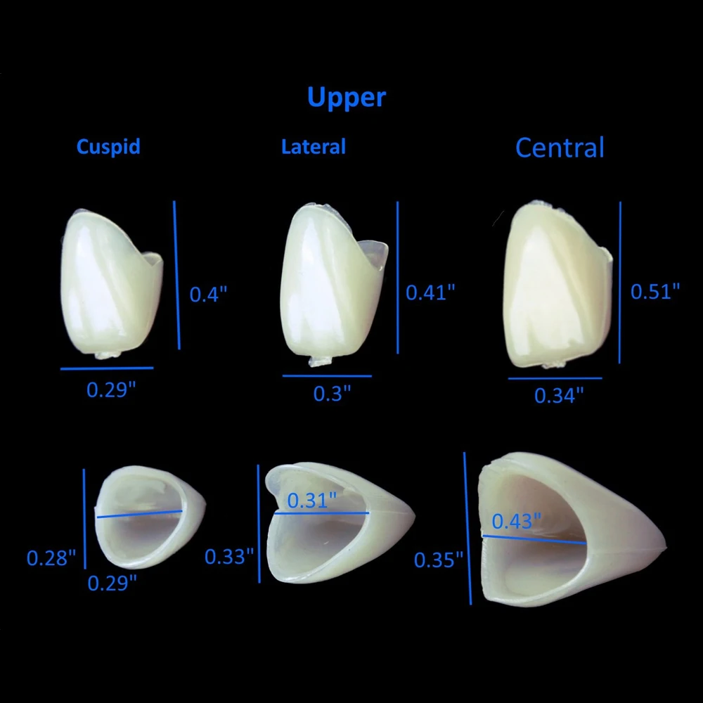 PIORPOY 50 Pcs/Box Dental Temporary Crown Kit Anterior Front Molar Posterior Teeth Veneers Dentistry Tooth Whitening Tools