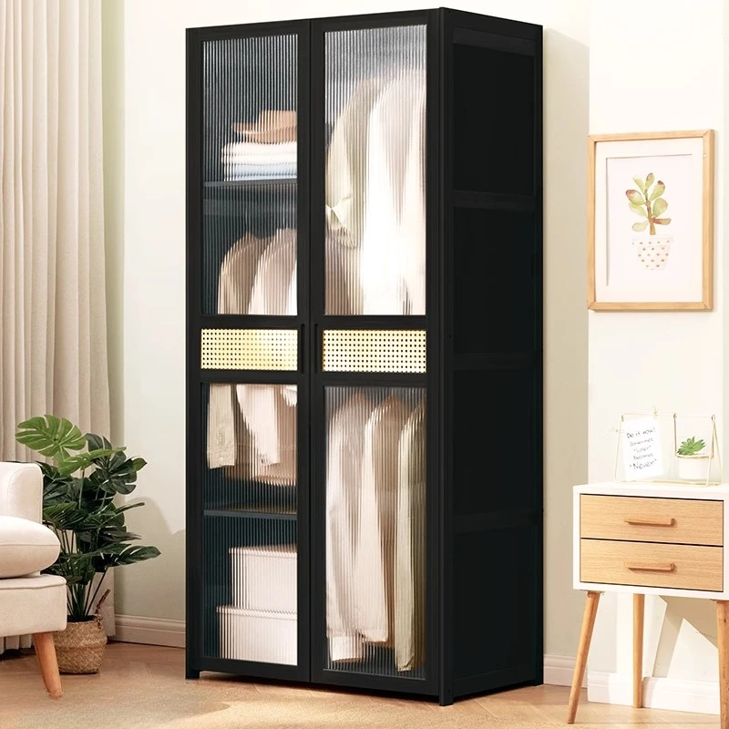 

Black Organizer Wardrobes Comfortable Garment Cupboards Living Room Space Saving Double Doors Cabina Armadio Bedroom Furnitures