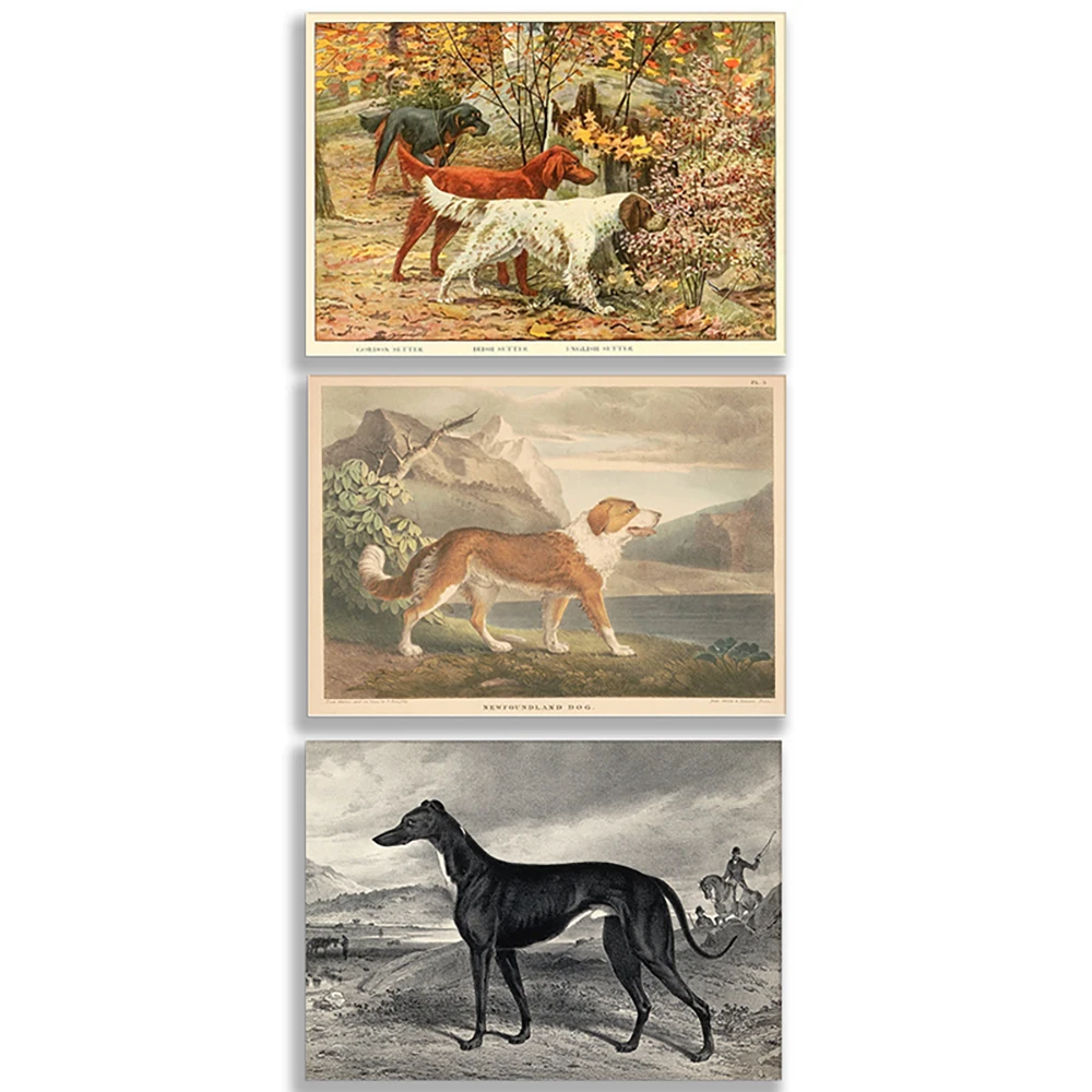 Greyhound, Russian Wolfhound, Great Dane, Newfoundland, Gordon Setter, Irish Setter, English Setter, Bulldog animal poster art