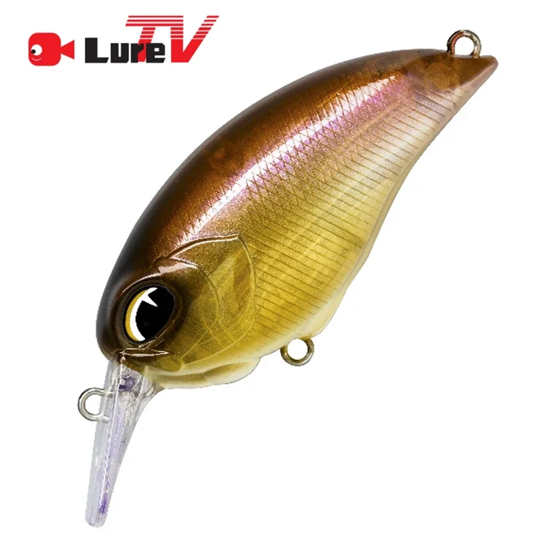 LURETV Crow Digger Little Fatty SQ-52/62 Shallow Deep Diving Snorkeling Far Cast Minorua Bait Perch Army Bait