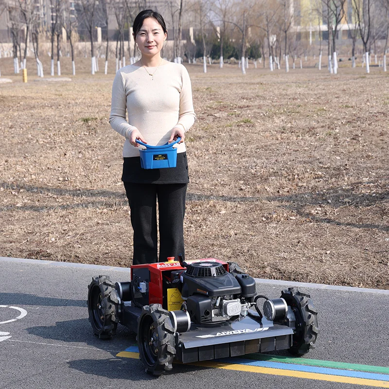 Customized Mini Rob…