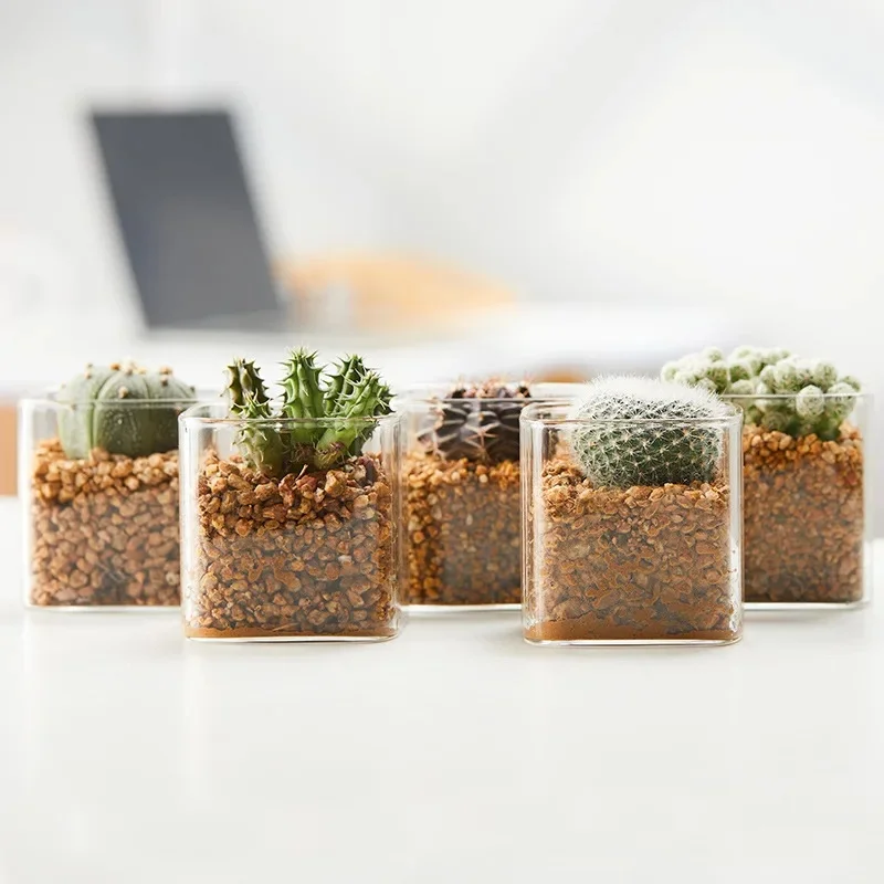 Mini Glass Fleshy Flowerpot Nordic Style Simple Square Hydroponic Plant Glass Jar Indoor Desktop Green Plant Planting Basin
