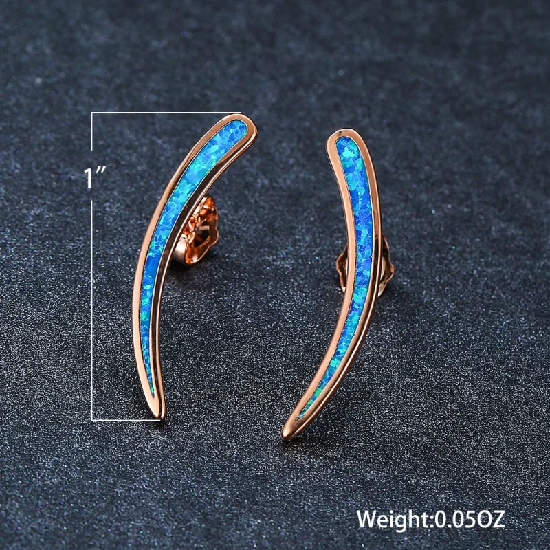 European and American Australian Treasure Curved Earrings with Simple Curved Strips for Attending Banquet Fashion Accessories