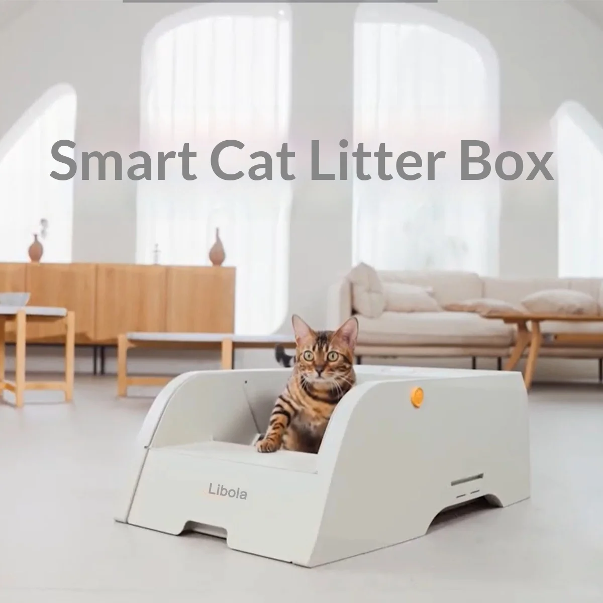 Arenero automático autolimpiante para gatos con sensor y cámara