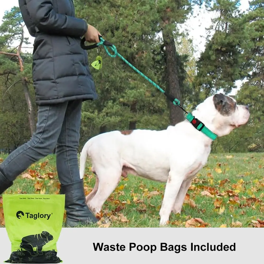 Taglory Rope Dog Leash 6 FT with Comfortable Padded Handle, Highly Reflective Threads Leash and Anti-Tangle Clip for Walking
