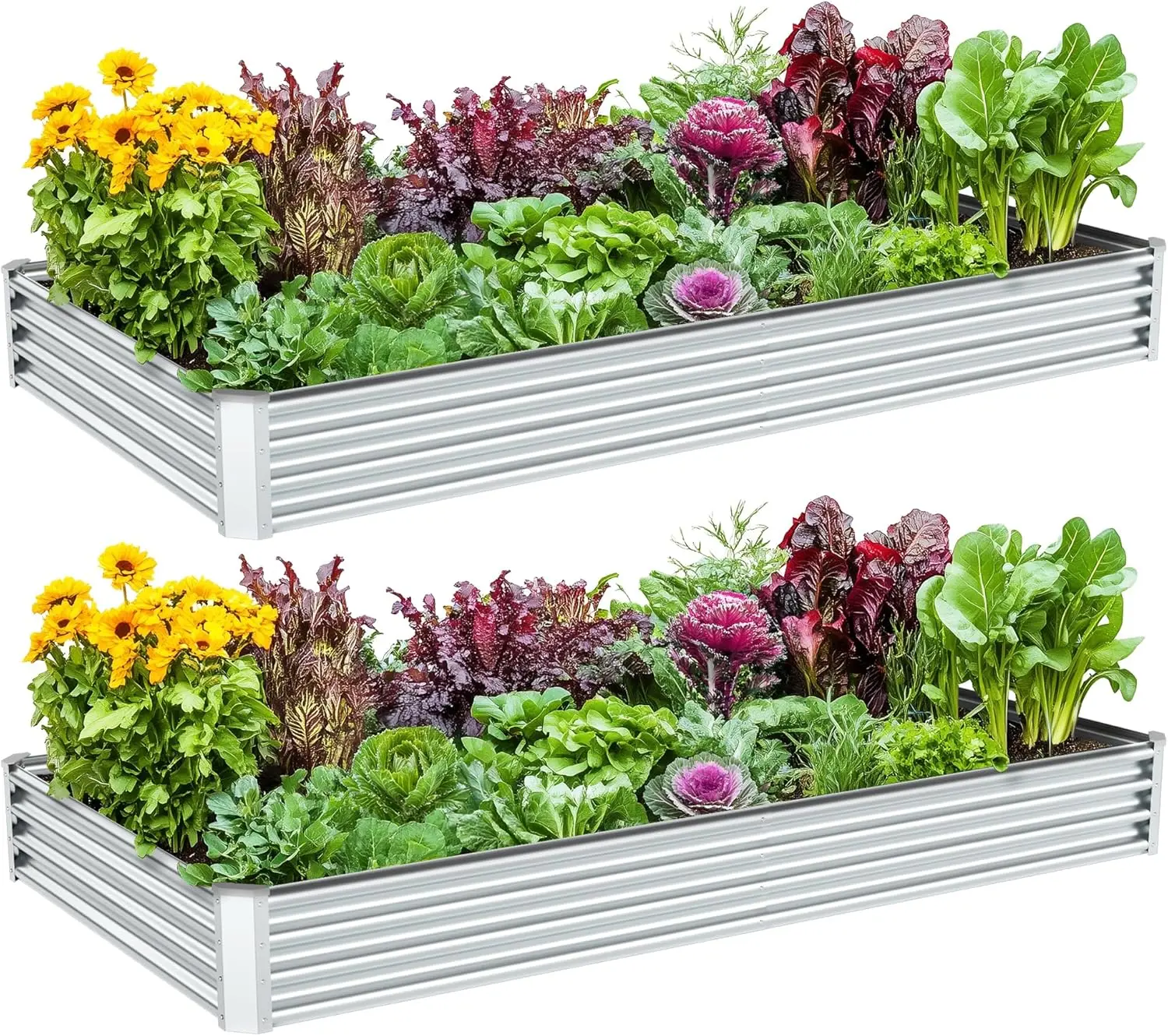 

Комплект из 2 оцинкованных садовых кроватей, металлический ящик для цветов 8x4x1 футов для овощей, трав, цветов - серебро