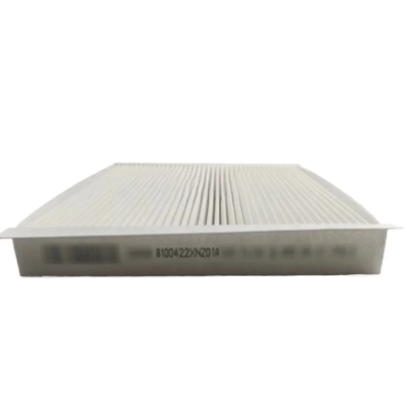 

8100422XNZ01A Genuine Air Conditioning Filter for Great Wall Poer Ora R1