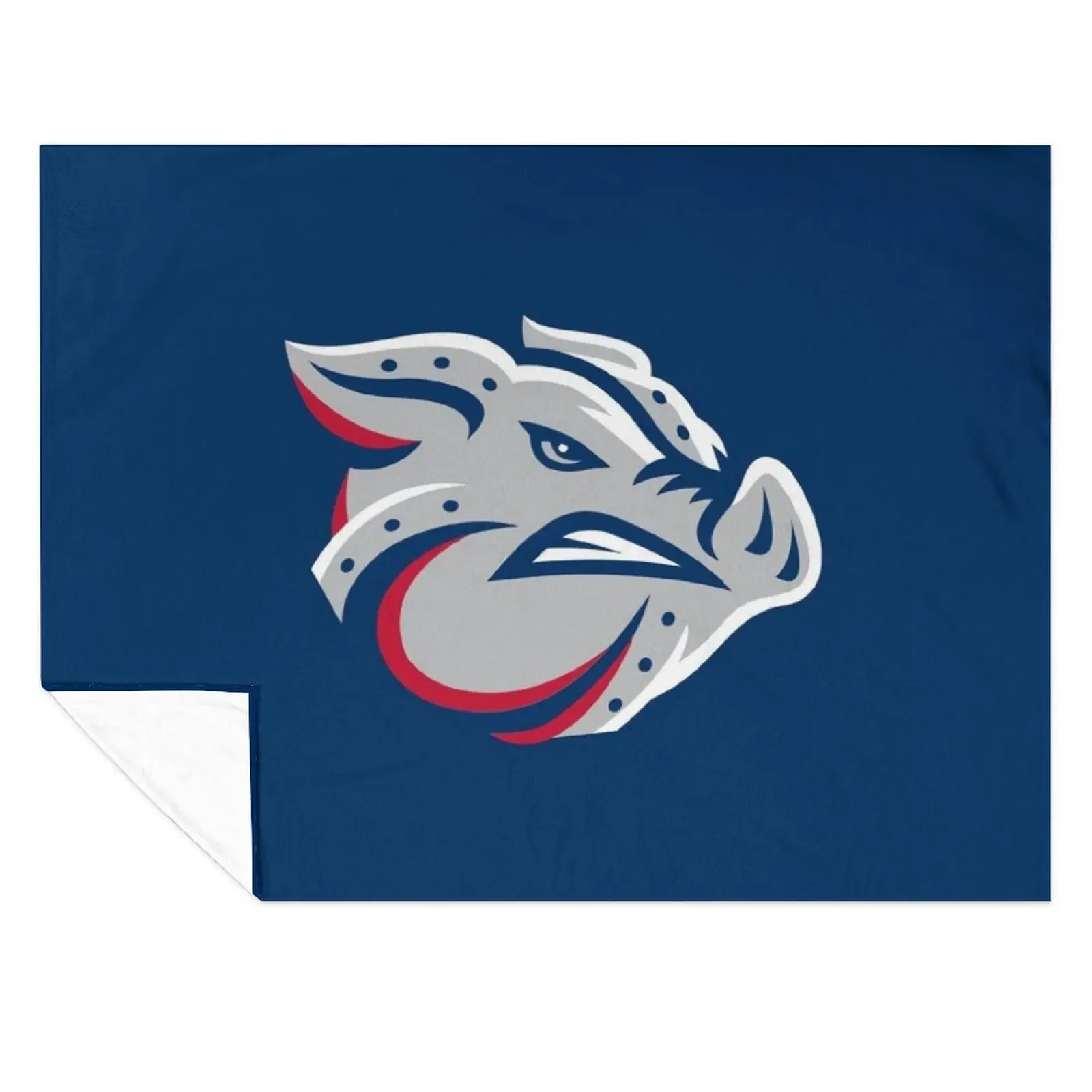 

Lehigh Valley IronPigs Throw Blanket for sofa Polar Warm Sleeping Bag Blankets
