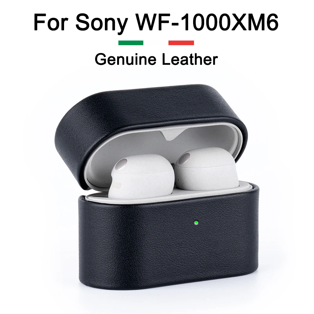 For Sony WF-1000XM6…