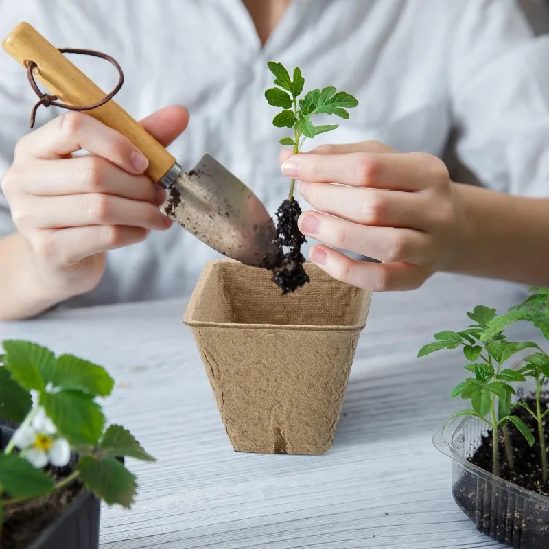 Square Biodegradable Paper Pulp Seedling Pots Breathable Seed Starting Cups Eco Plant Nursery Container Home Garden Accessories