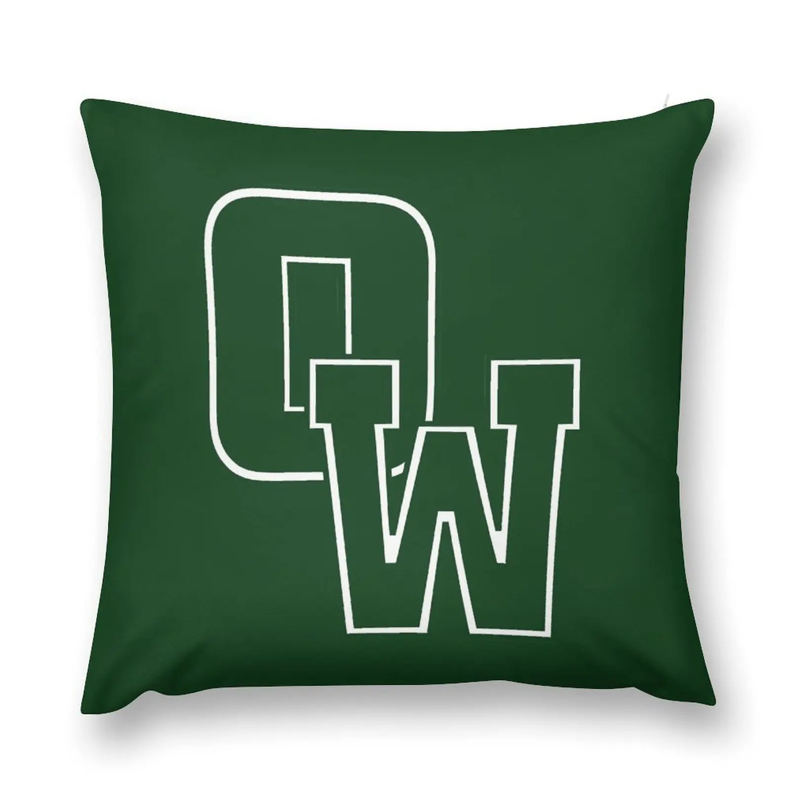 NY at Old Westbury PTeam Throw Pillow anime girl Cushions For Sofa pillow