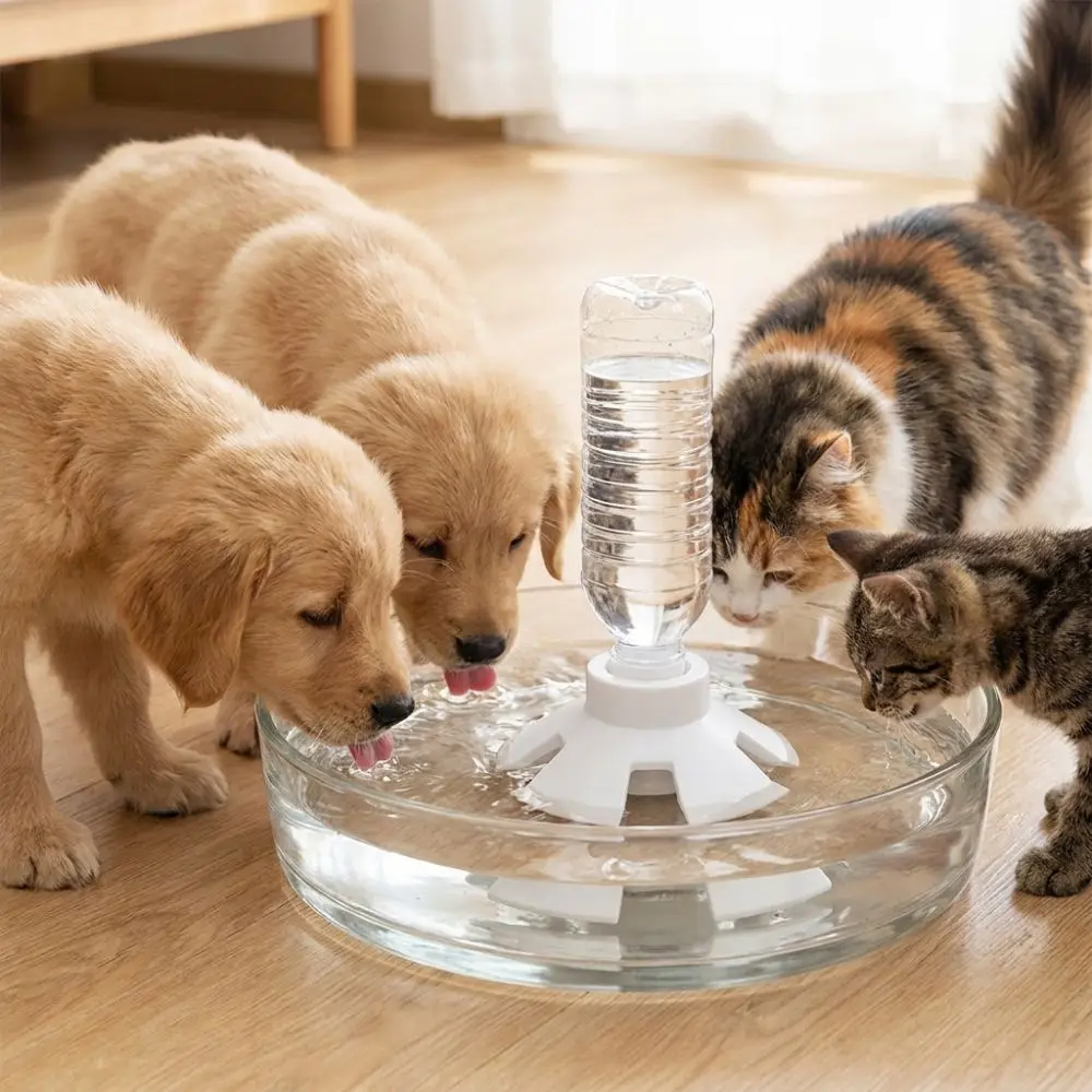 Anti-Slip Automatic Pet Water Dispenser 3D Printed Anti Overturning Cat Water Bowl Constant Water Level Auto Refill Water