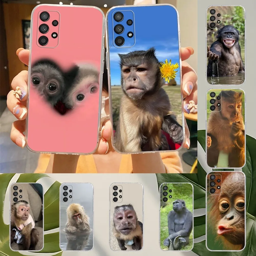 Monkey Sipping Capri Meme Funda Phone Case For Samsung Galaxy A52 A12 A51 S21 Edge S22ULTRA S23 S20LITE Plus Ultra Cover