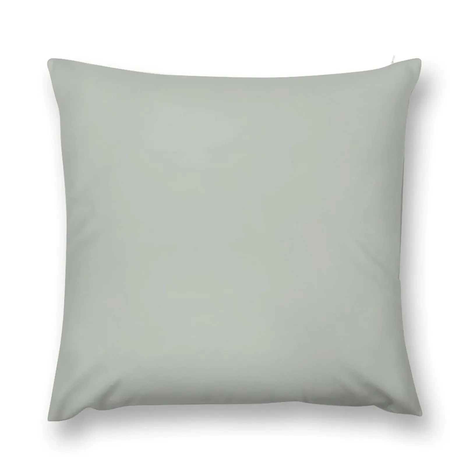 Tranquil Dawn Green - Accent Color Decor Throw Pillow Pillow Cover Sofa Cover Decorative Pillow Covers For Sofa