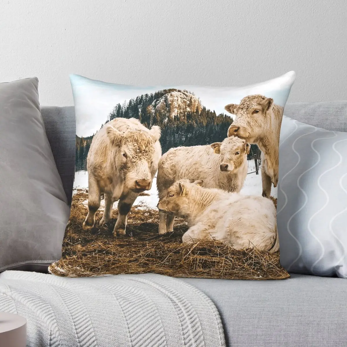 Funda de almohada cuadrada Charolais Cattle de poliéster, lino y terciopelo, estampada con cremallera, decorativa, para coche, venta al por mayor