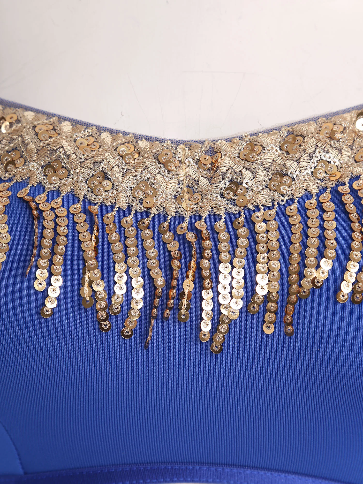 Womens Belly Dance Outfits Sequin Tassel Spaghetti Straps Crop Top with High Slit Sheer Mesh Skirt and Thong Pole Dance Costume