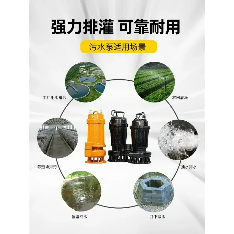 2 Inch 220V Submersible Sewage Pump, Small Wastewater Drainage for Sludge Feces Mud, Industrial & Home Use Water Transfer