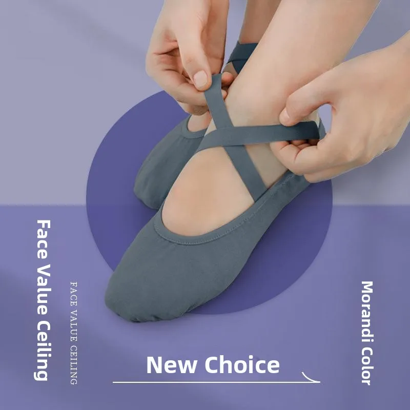 chaussures-de-danse-pour-femmes-semelle-souple-ideales-pour-l'entrainement-chaussures-de-ballet-en-toile-a-griffes-chaussures-de-danse-latine-sans-marque-enregistree