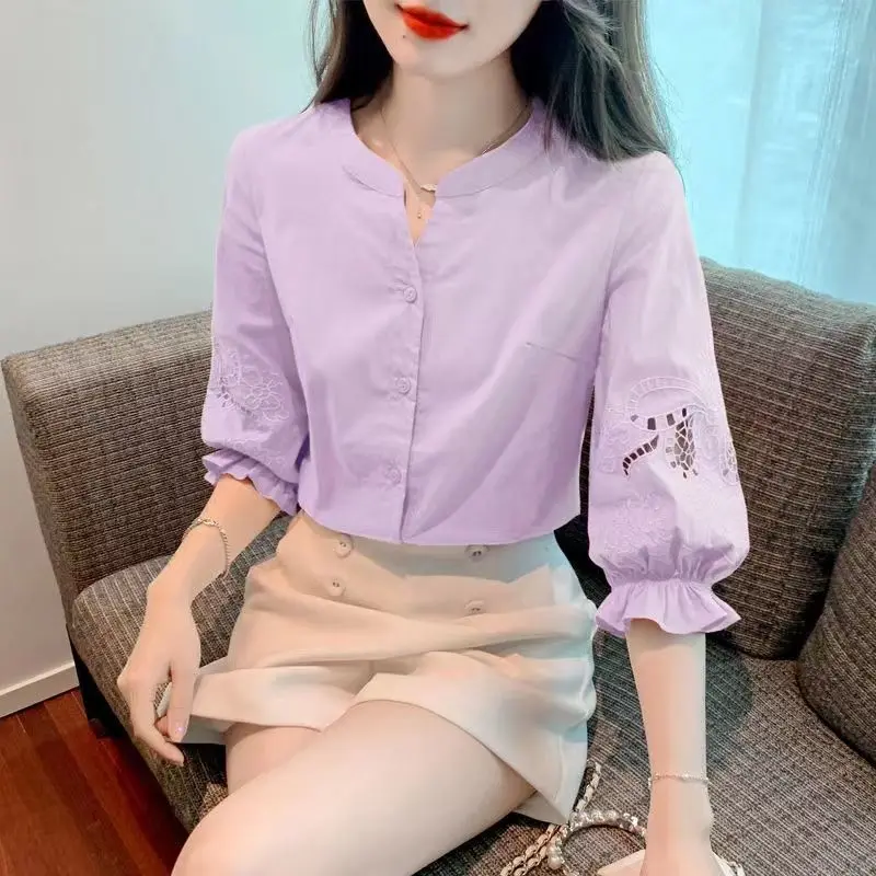 Spring and Summer New Short Sleeved Chiffon Shirt Women\'s 2024 New Bubble Sleeve Mid Sleeved Top Unique Shirt