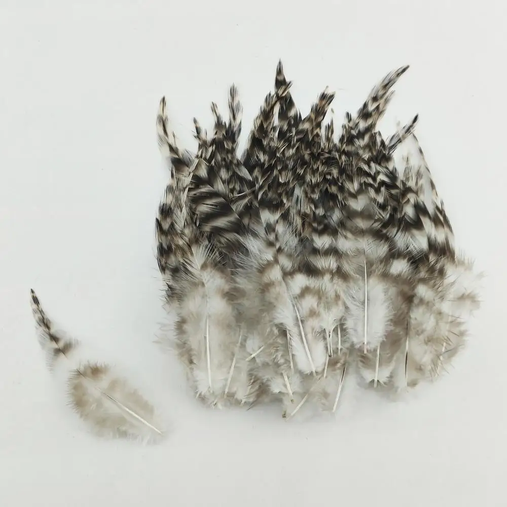 100 قطعة من ريش دجاج ماران الوقواق الطبيعي مقاس 4-6 بوصة يمكنك صنعها بنفسك مجموعة غير مصبوغة للديكور (عبوة واحدة) #5