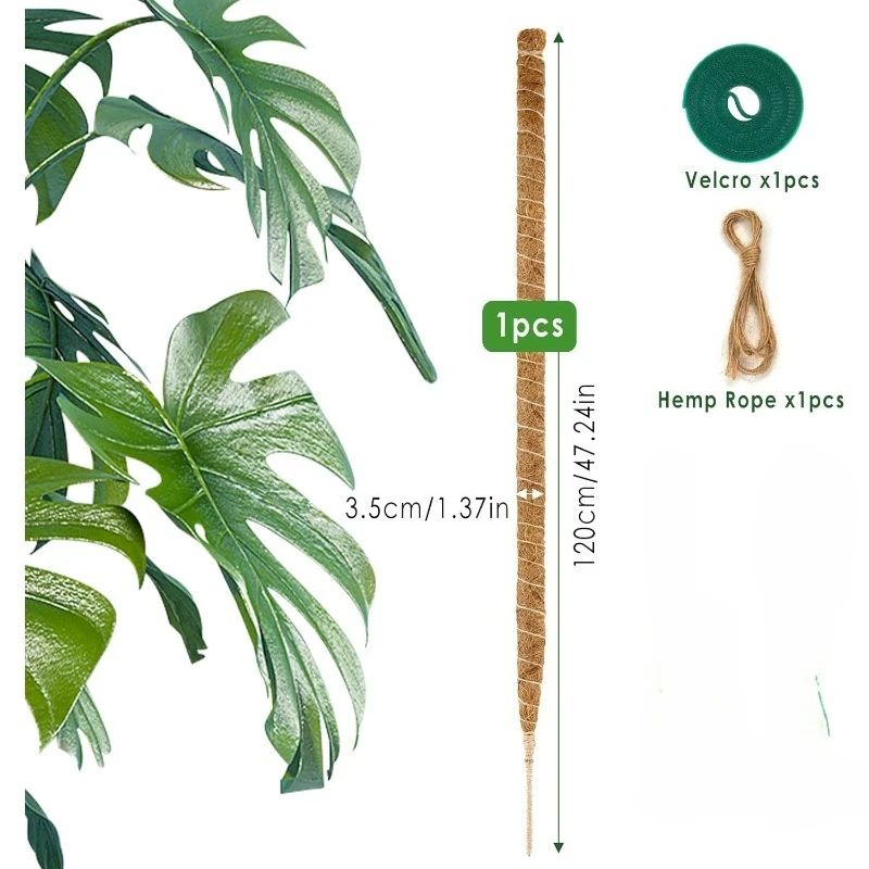 نباتات Monstera المتتالية مقاس 120 سم، نباتات داعمة للتتالي، ملحقات نباتات داخلية متتالية، مناسبة لنمو المتتالي. #2