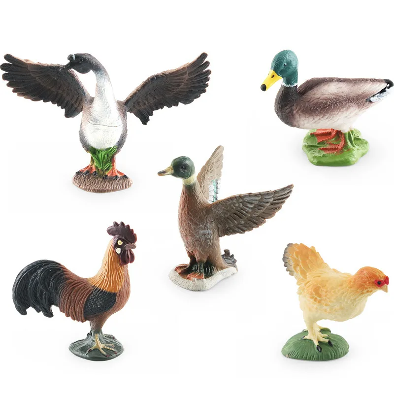 Simulation Farm Poultry Chickens, Ducks And Geese Model Children Cognitive Animal Static Desktop Decoration Children Toys Gifts