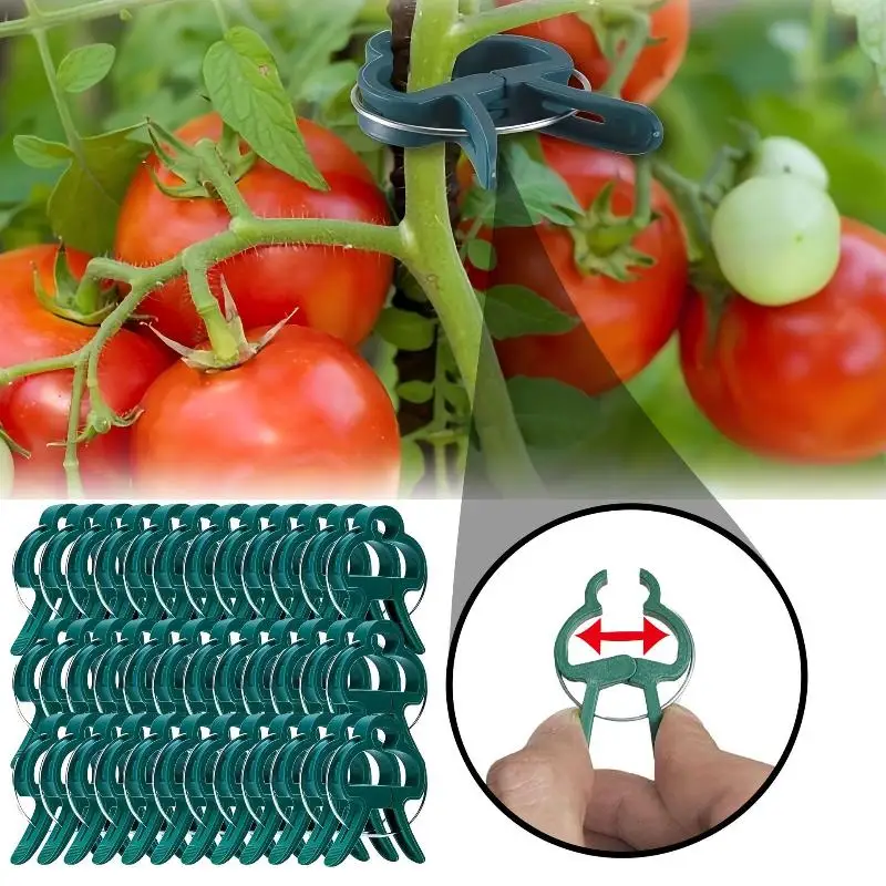 Plant Fixed Clips Reusable Garden Greenhouse Bracket Garden Plants Vine Climbing Clamp Flower Tomato Support Fastener