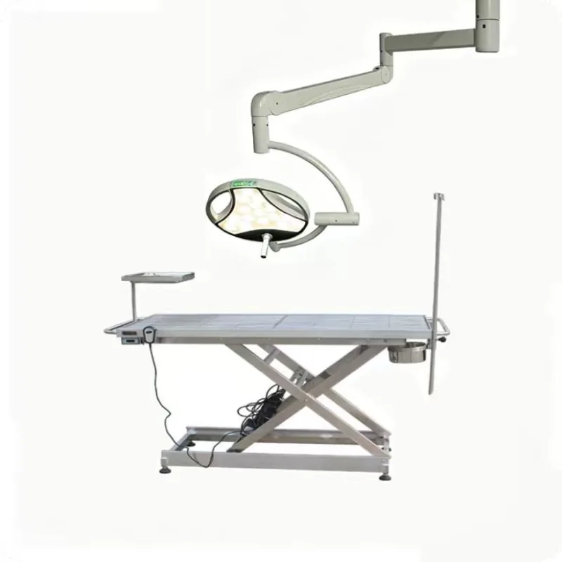 Veterinary dental and oral implant surgery mobile shadowless lamp for cosmetic and plastic procedures