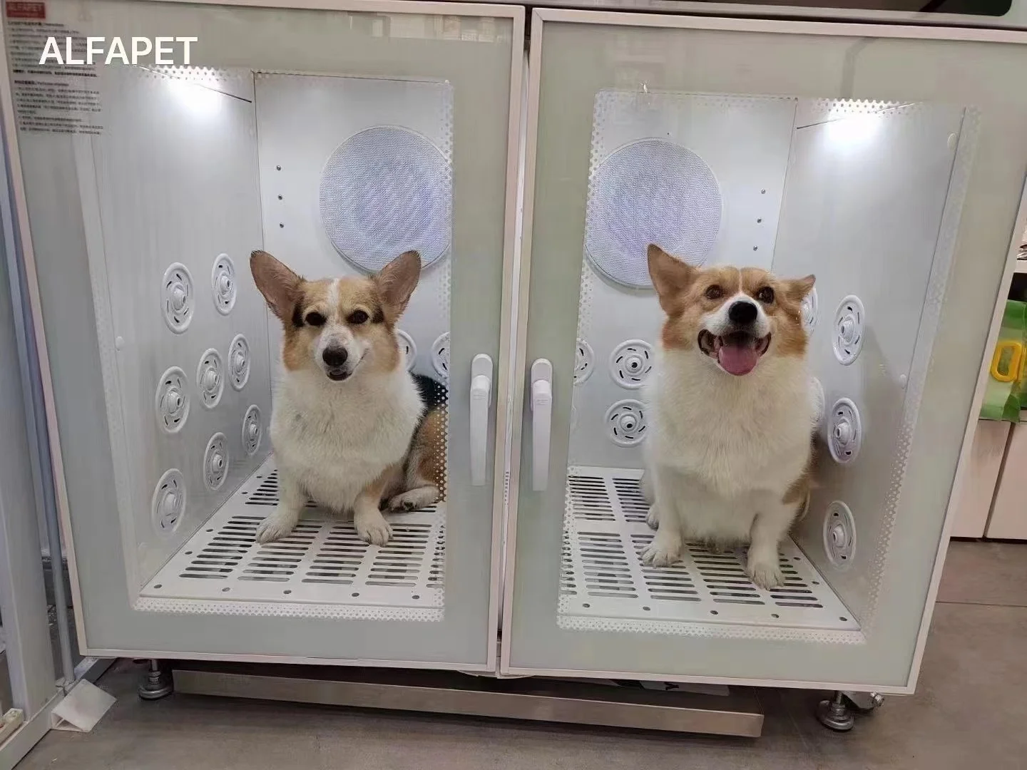Luxury Automatic Metal Pet Dryer Box, Color Dog Cat Drying Cabinet for Grooming Salon