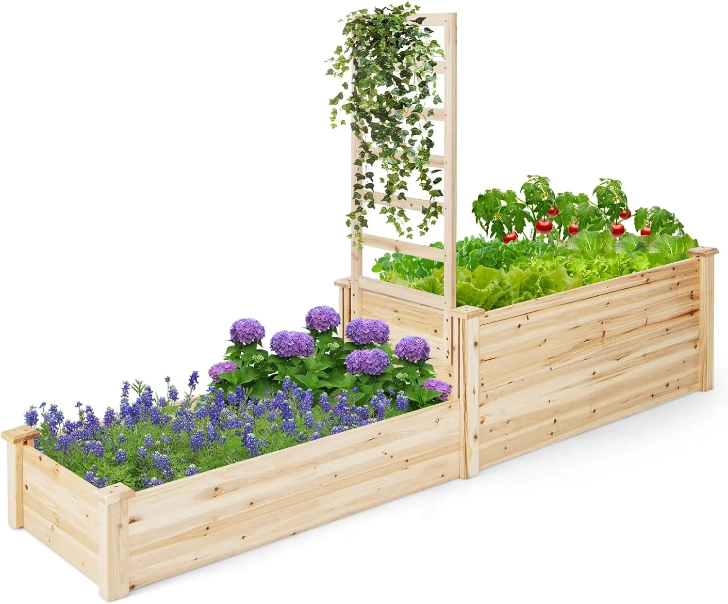 

Raised Garden Bed with Trellis, Set of 2 Wood Shallow & Deep Planter Box for Climbing Plants Cucumber Vegetables Flowers