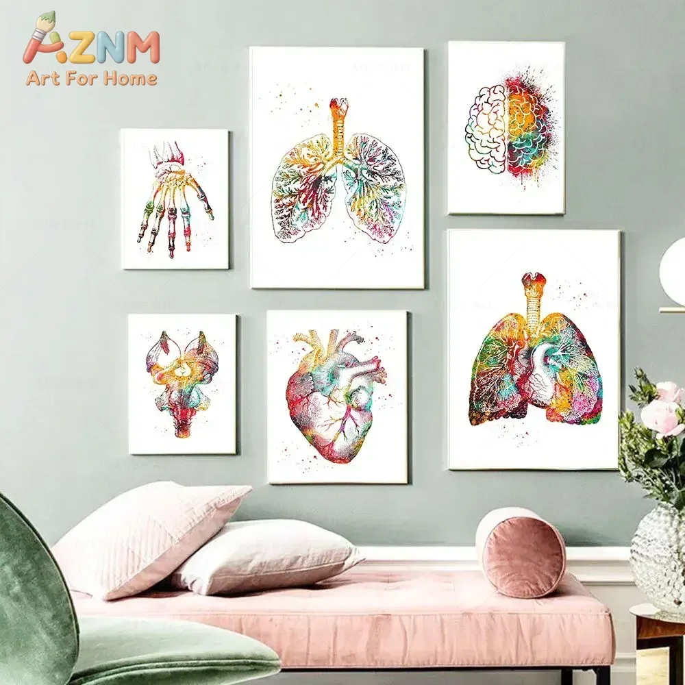 AZNM Watercolor Human Anatomy Canvas Print, Frameless Medical Organ Skeleton Brain Spine Wall Art Poster for Doctor Office Clini