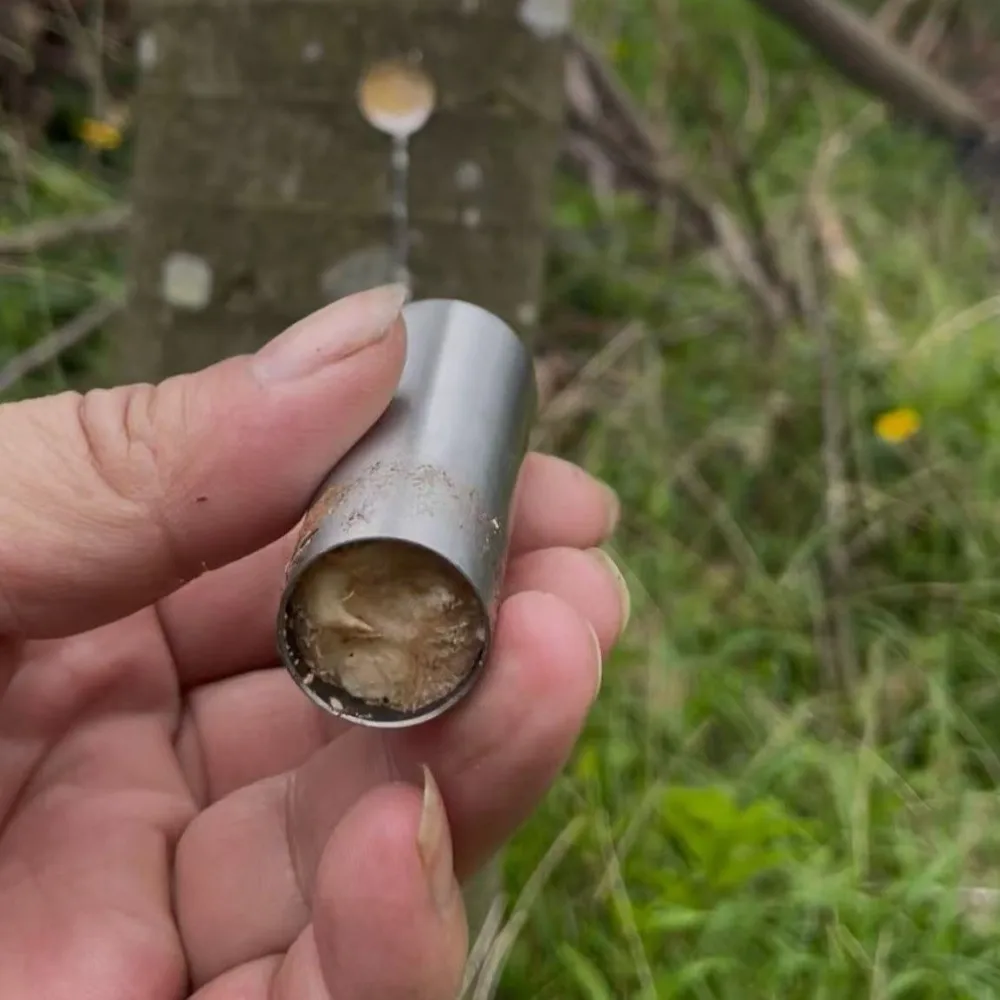

Набор из 5 инструментов для прививки из нержавеющей стали: не повреждающие растения пробойники, вырезатели, инструмент для извлечения почек, прямой инструмент для обрезки труб, инструмент для прививки