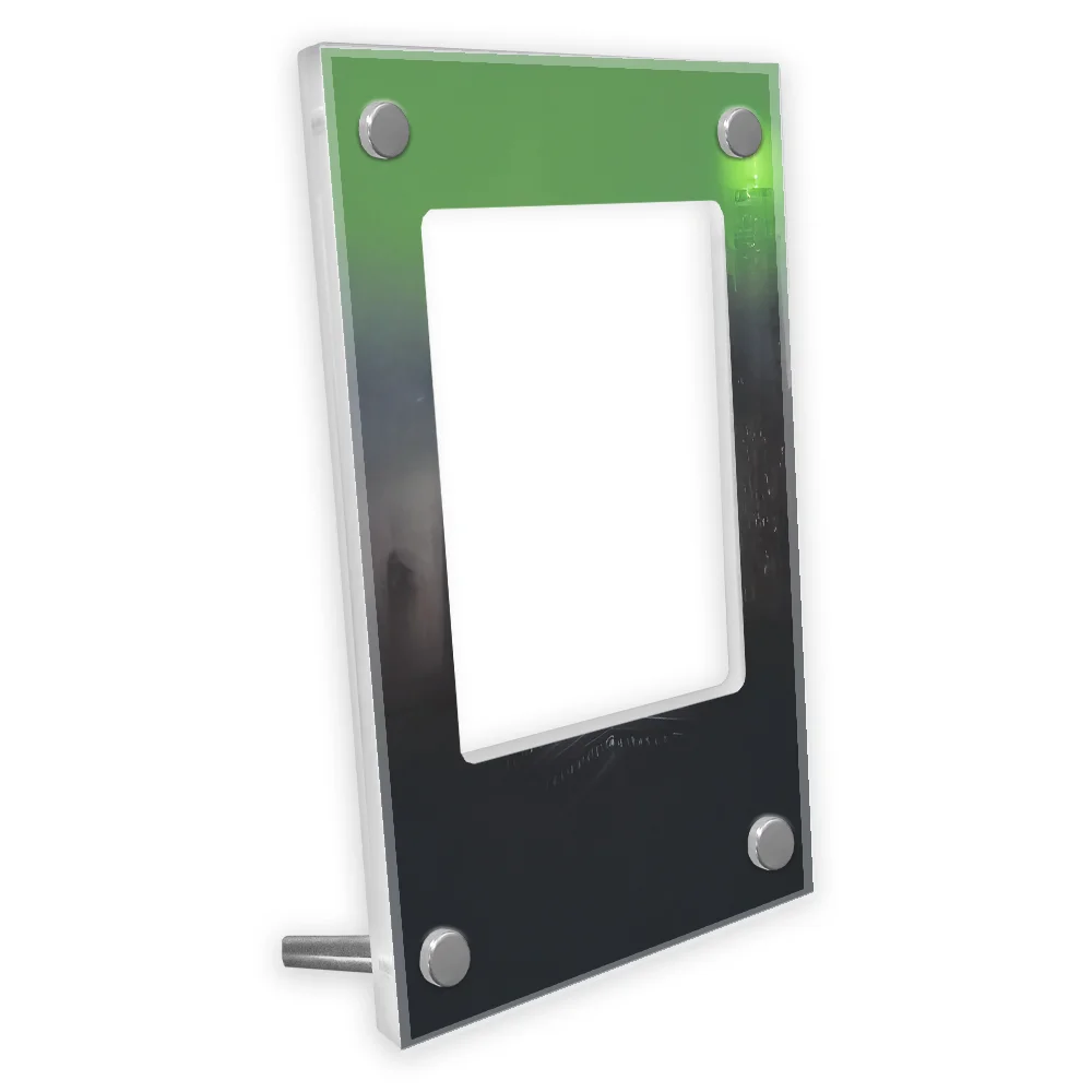 

Pokemon Anime Mega Absol Ex Card Extended Art Display Case Collection Card Extended Painting Psa Display Rack Excluding